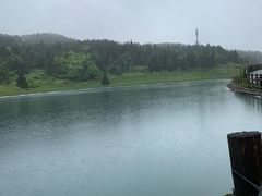 -武陵山森林公园
