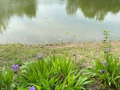-东郊湿地公园