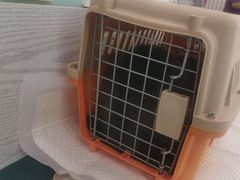 -纳吉亚猫专科动物医院·北北分院