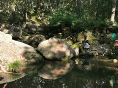-洛阳白云山景区