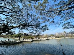 -江心屿景区