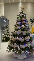 点击看大图 -月野兔日式美睫美甲