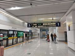 -郑州新郑国际机场-T2航站楼