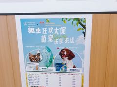 -米苏动物医院·犬猫专科·骨科外科内窥镜