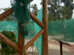 -北海金海湾红树林生态旅游区