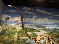 -自贡恐龙博物馆