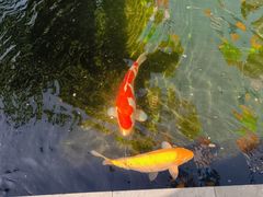 -西安市广仁寺