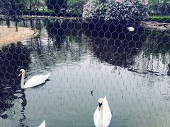 -太原动物园