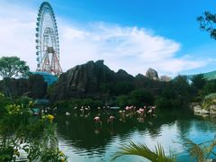 -芽庄珍珠岛游乐园