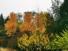 -玲珑塔公园