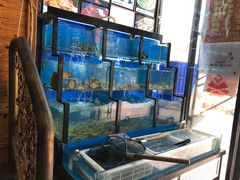 水产区-老东镇啤酒屋海鲜加工·蒸汽海鲜·海鲜烧烤(台东店)