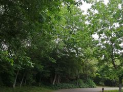 -梁鸿国家湿地公园
