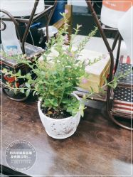 -阿兵荣辉美容理发有限公司