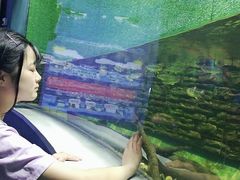 -石家庄海洋公园