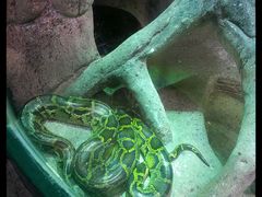 热带雨林-福州罗源湾海洋世界旅游区