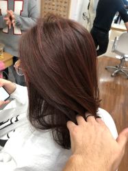 -THE LOG SALON 记录