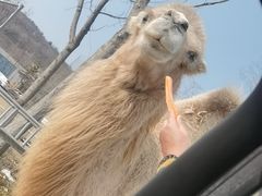 -南京金牛湖风景区