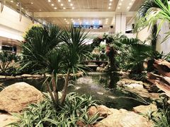 -樟宜机场免税店