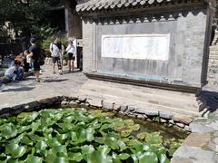 -古北烤梨