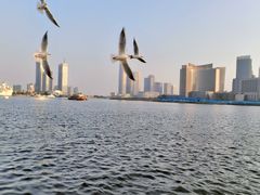 -海河外滩公园
