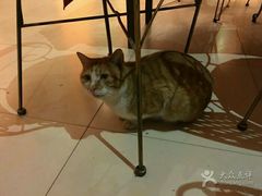 -天津津利华酒店