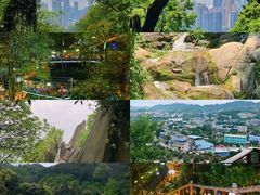 -南山植物园