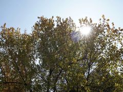 景点-百里山水画廊