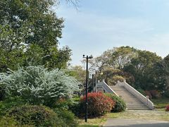 -桃花岛景观公园