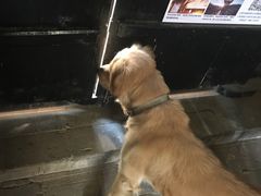 -浔岚云舍mist静谧观景美宿(丽江古城店)