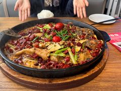 -老板恋上鱼(恒隆广场店)