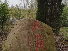 -合肥滨湖国家森林公园