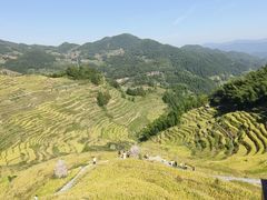 -紫鹊界梯田景区