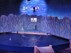 -珠海长隆海洋王国