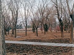 -长春公园(普阳街道)