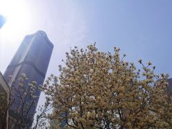 -大望京儿童游乐场