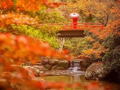 -醍醐寺