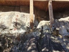 -罗田天堂寨风景区