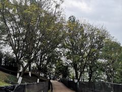 -金海湾滨江公园