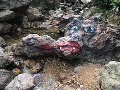 -南海湾森林生态园