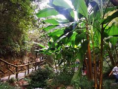 -常德桃花源景区