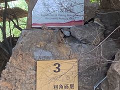 -周口店北京人遗址公园