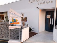 门面-Blue Concept Cafe&Farm·關於藍