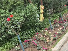 -沈阳植物园