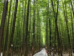 -山王坪喀斯特国家生态公园
