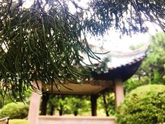 -叶家花园