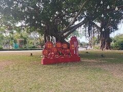 -万绿园