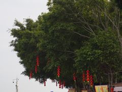 -南沙天后宫景区