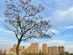 -小赛虎少儿足球培训(南翔校区)