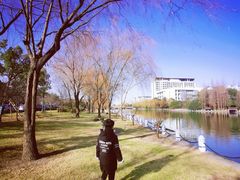 -上海市第一人民医院(松江南部)