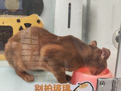 -龙湖重庆时代天街